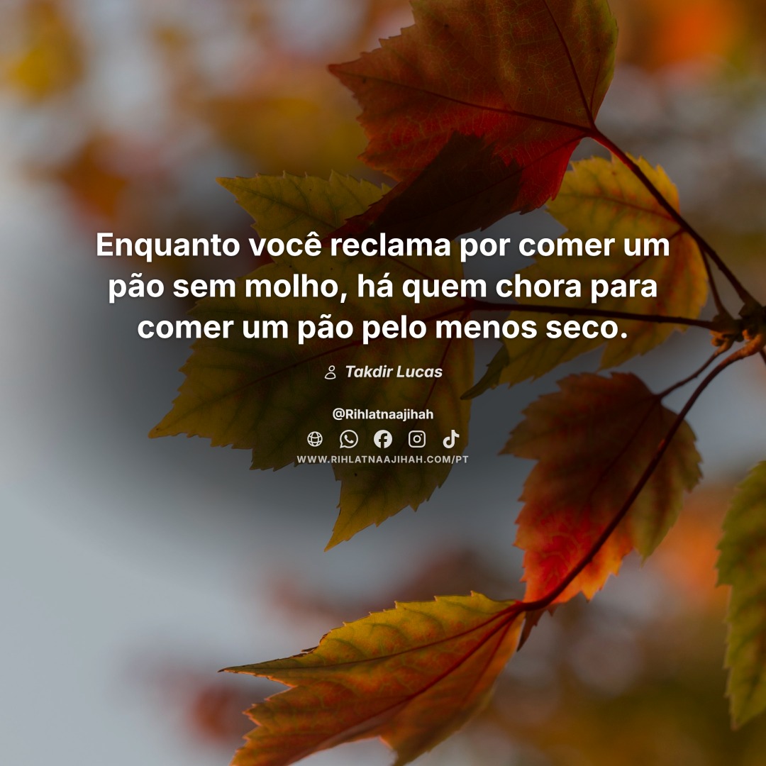 Publicação 152