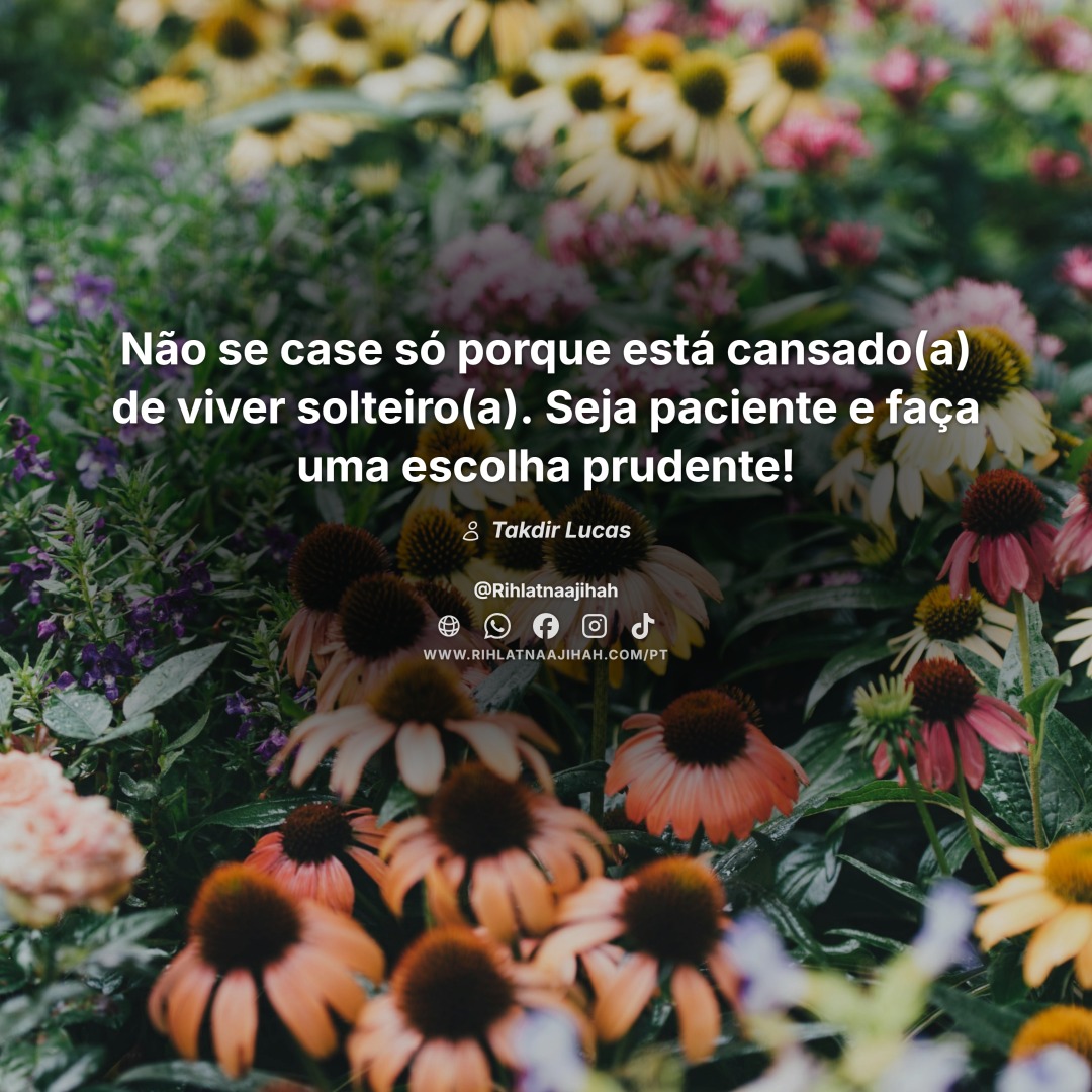 Publicação 372