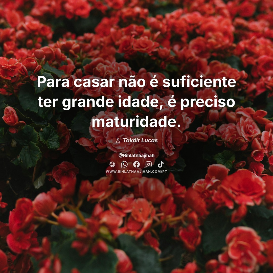 Publicação 377