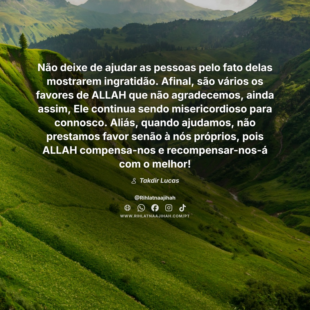 Publicação 381