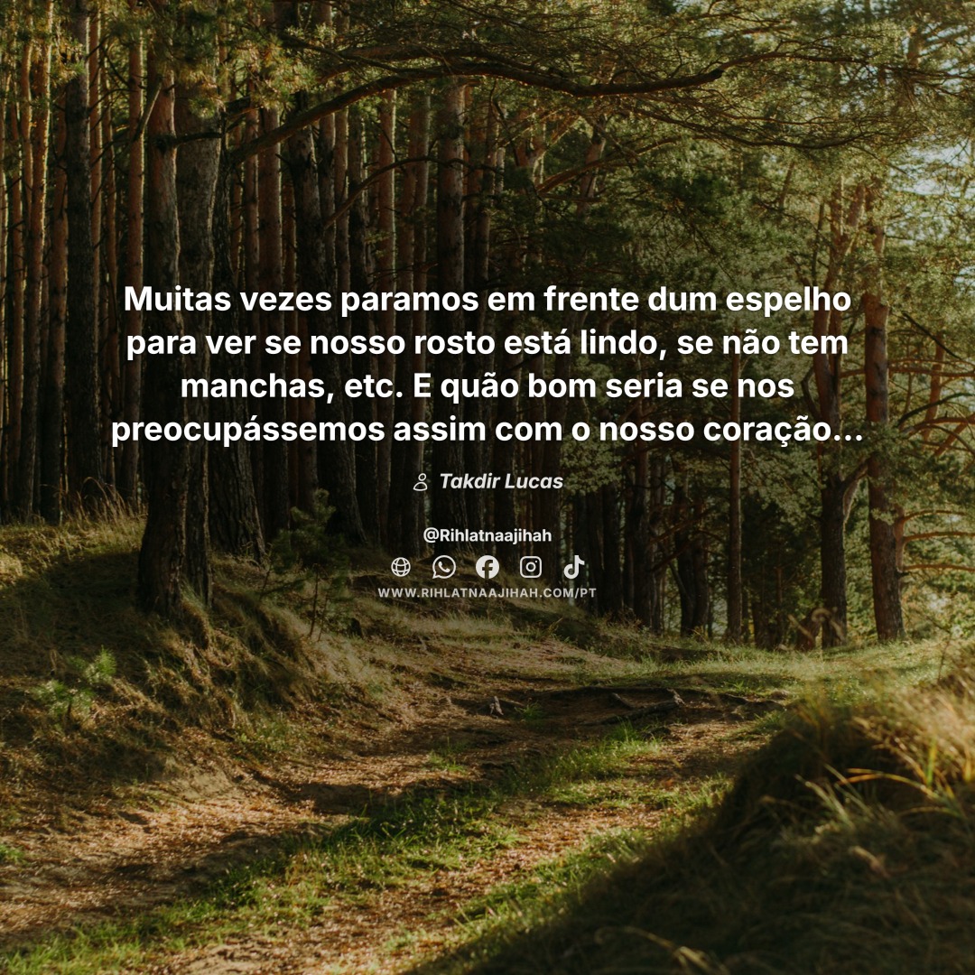 Publicação 385