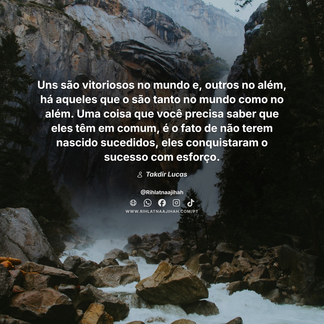 Publicación 404