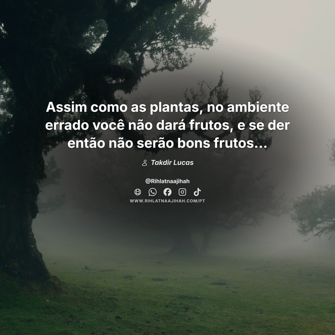 Publicação 496