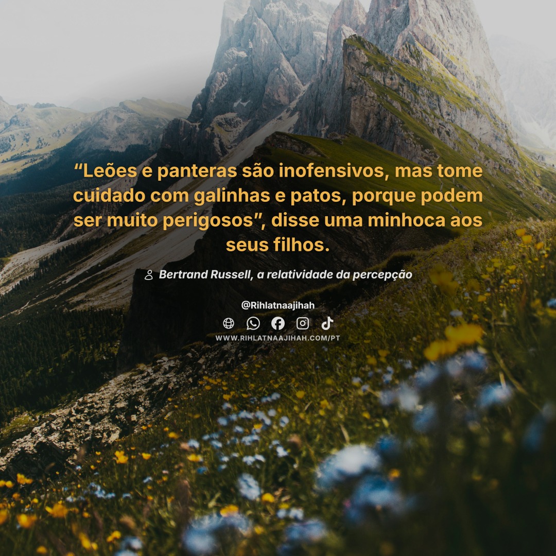 Publicação 736