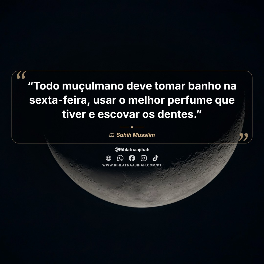 Publicação 744
