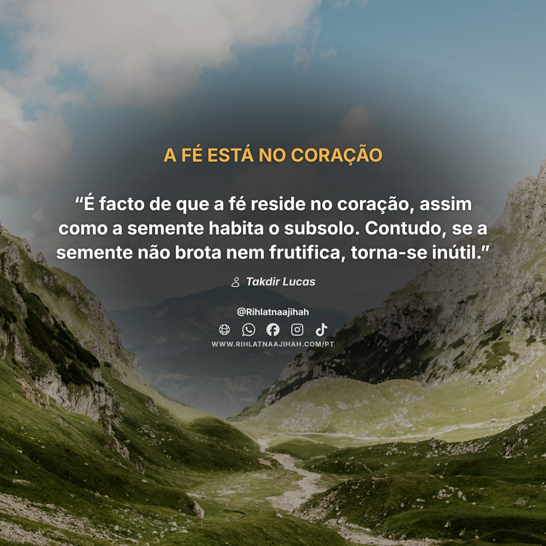 Publicação 771