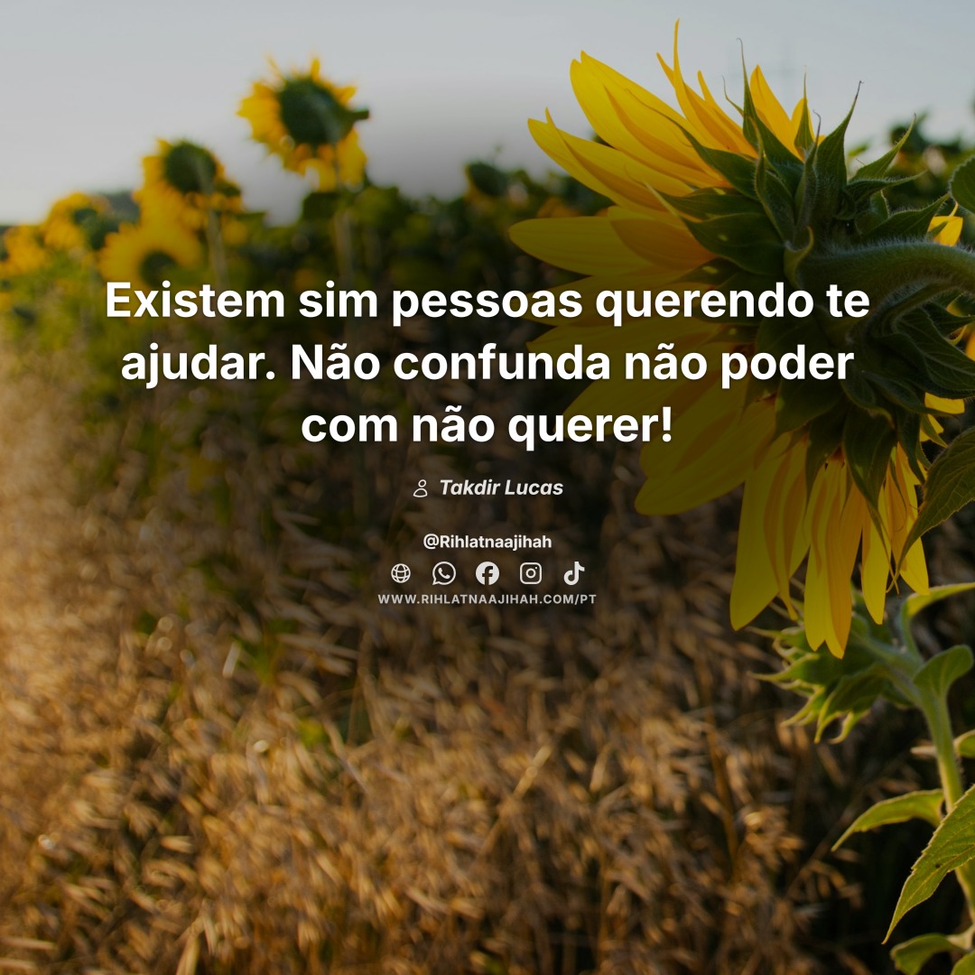 Publicação 778