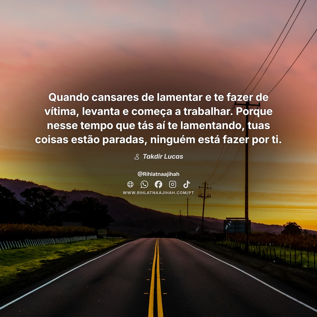 Publicação 781