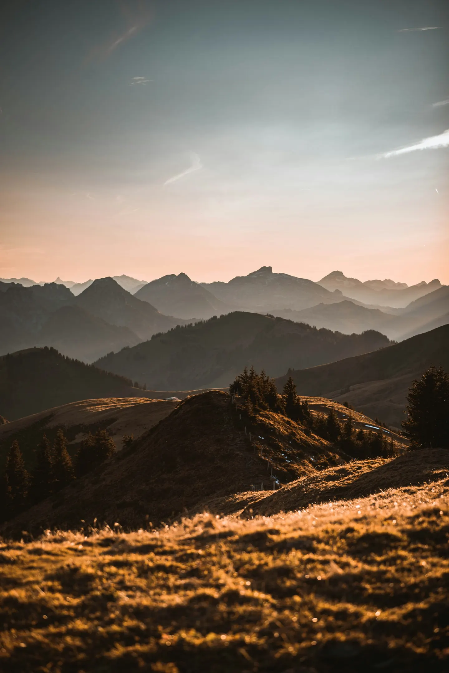 Post 772