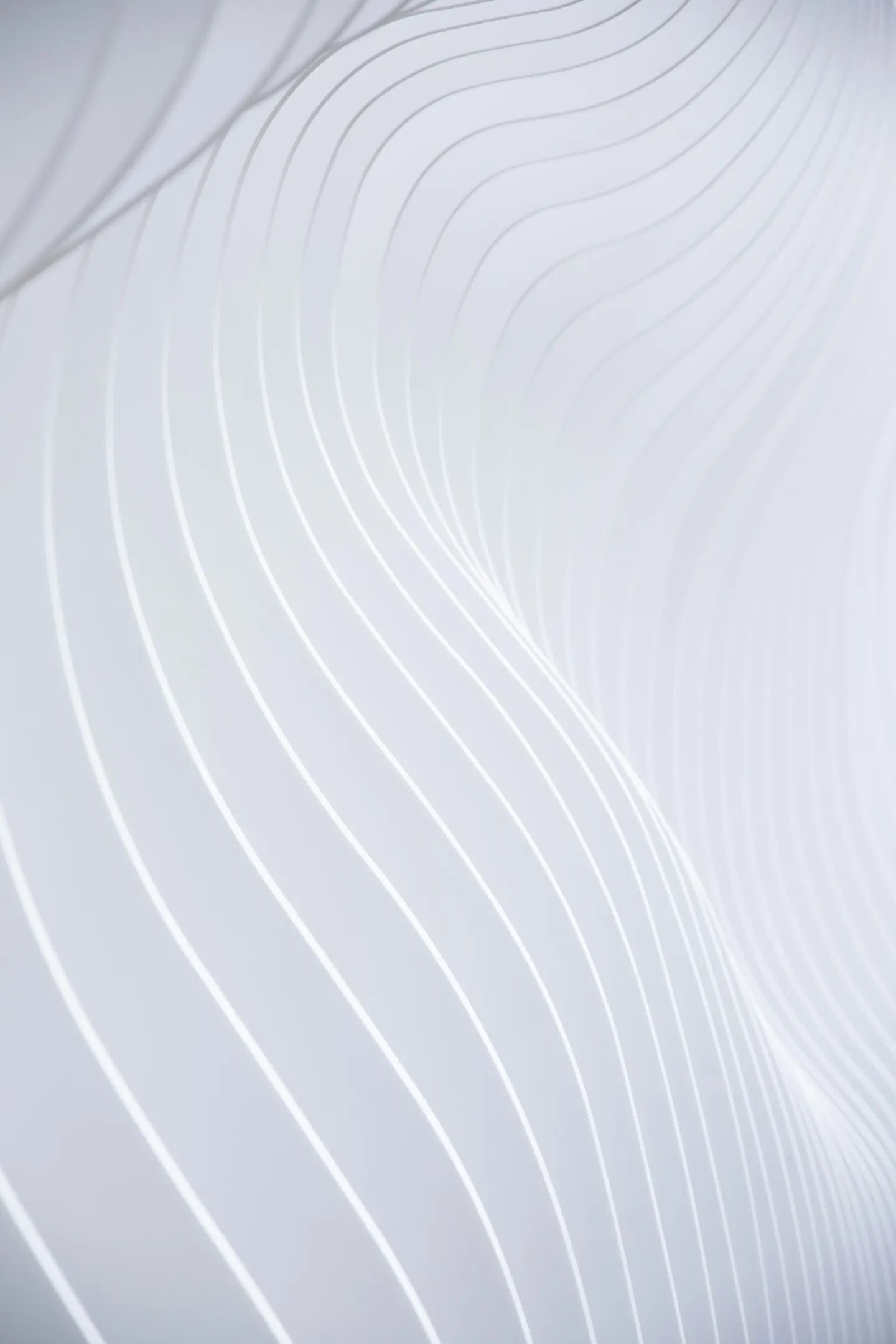 Publicação 362