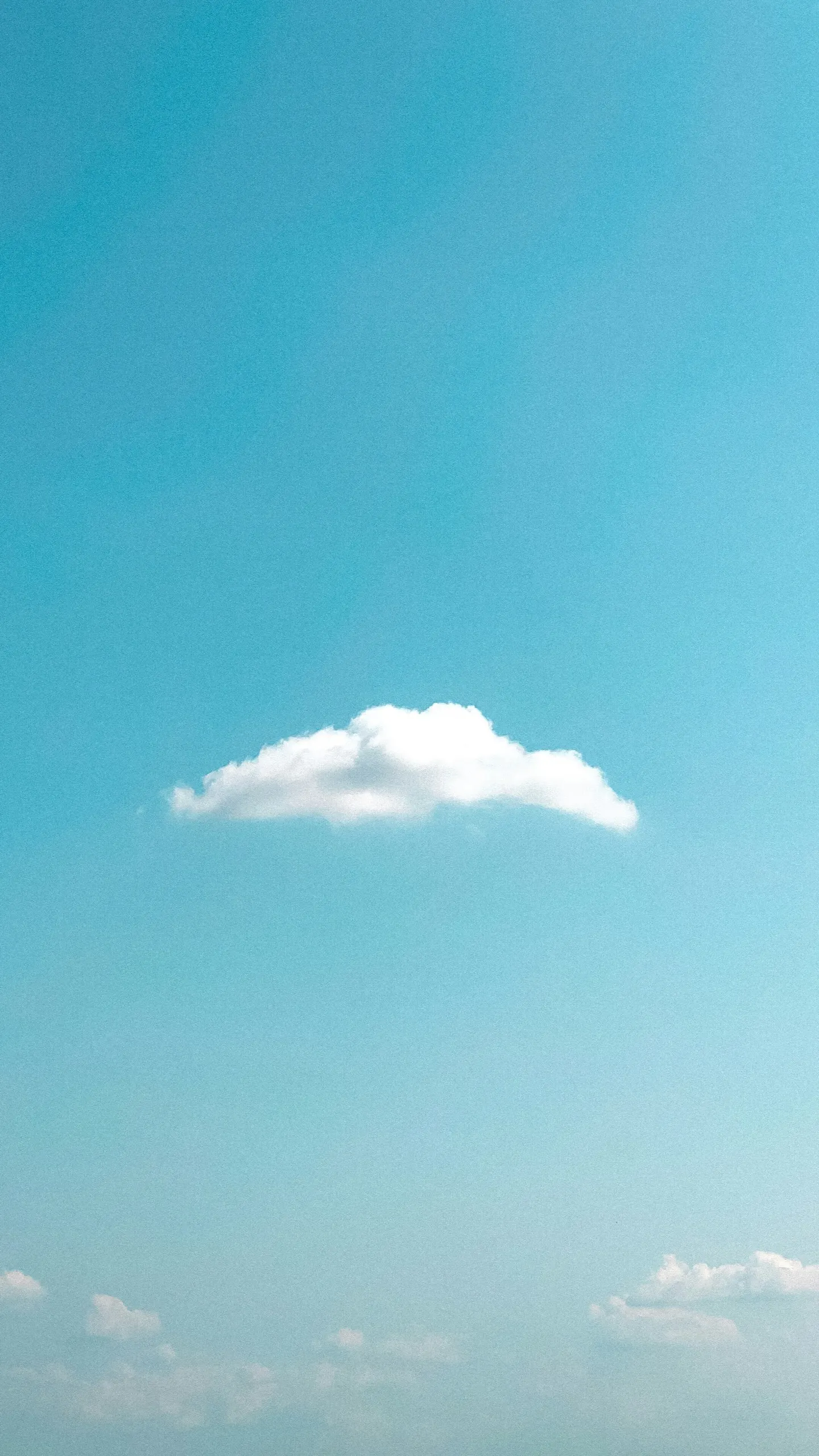 المنشور 155