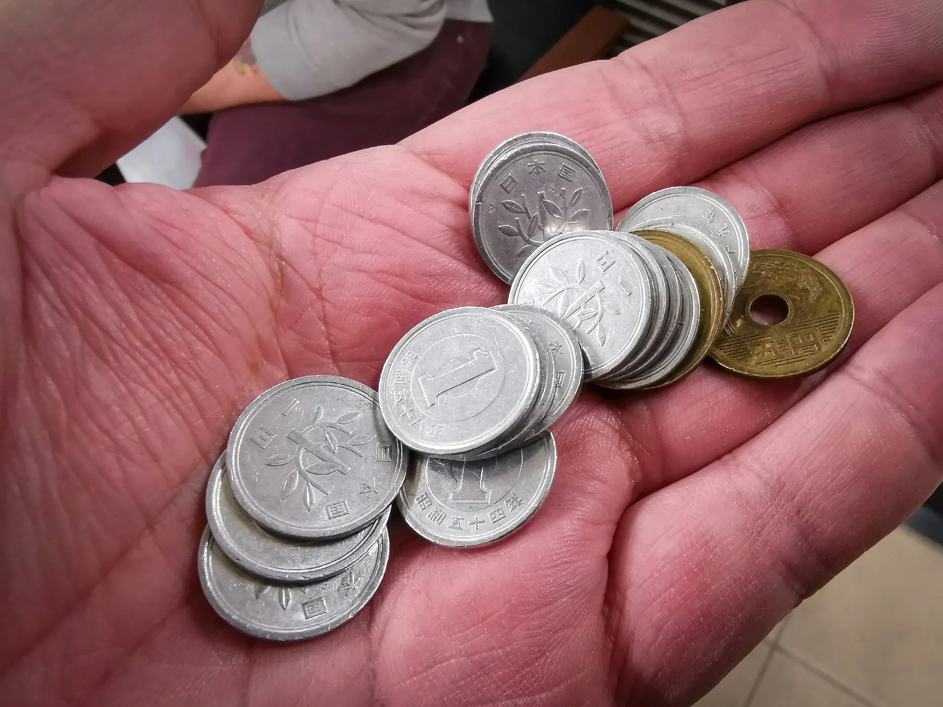 Publicação 27