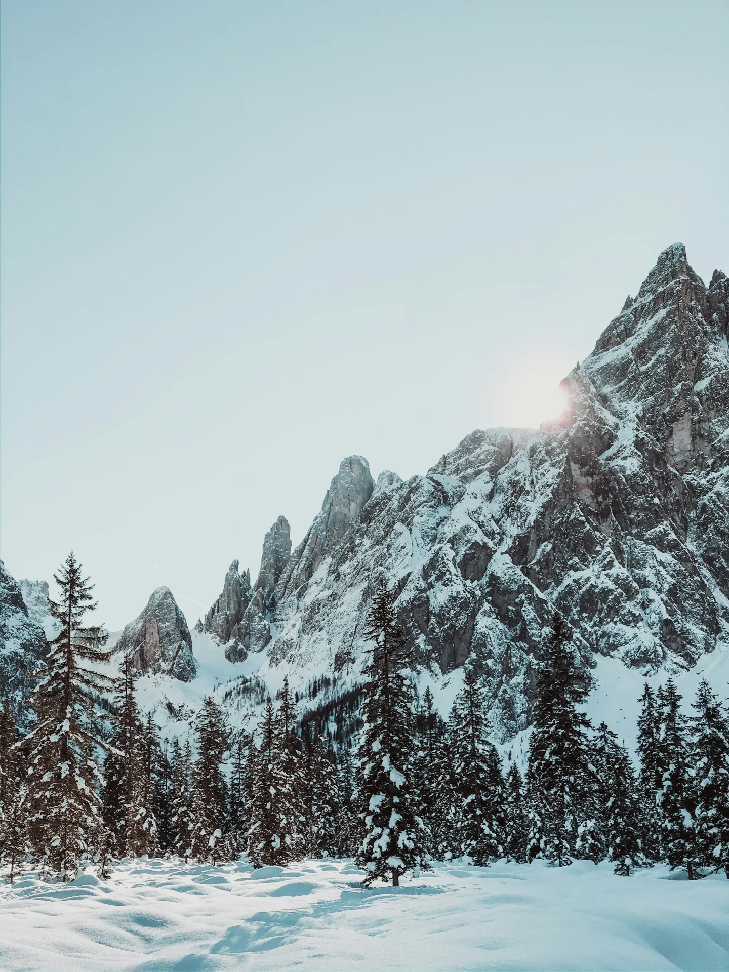 Publicação 161